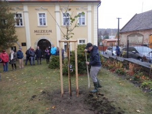 Radnická lípa republiky